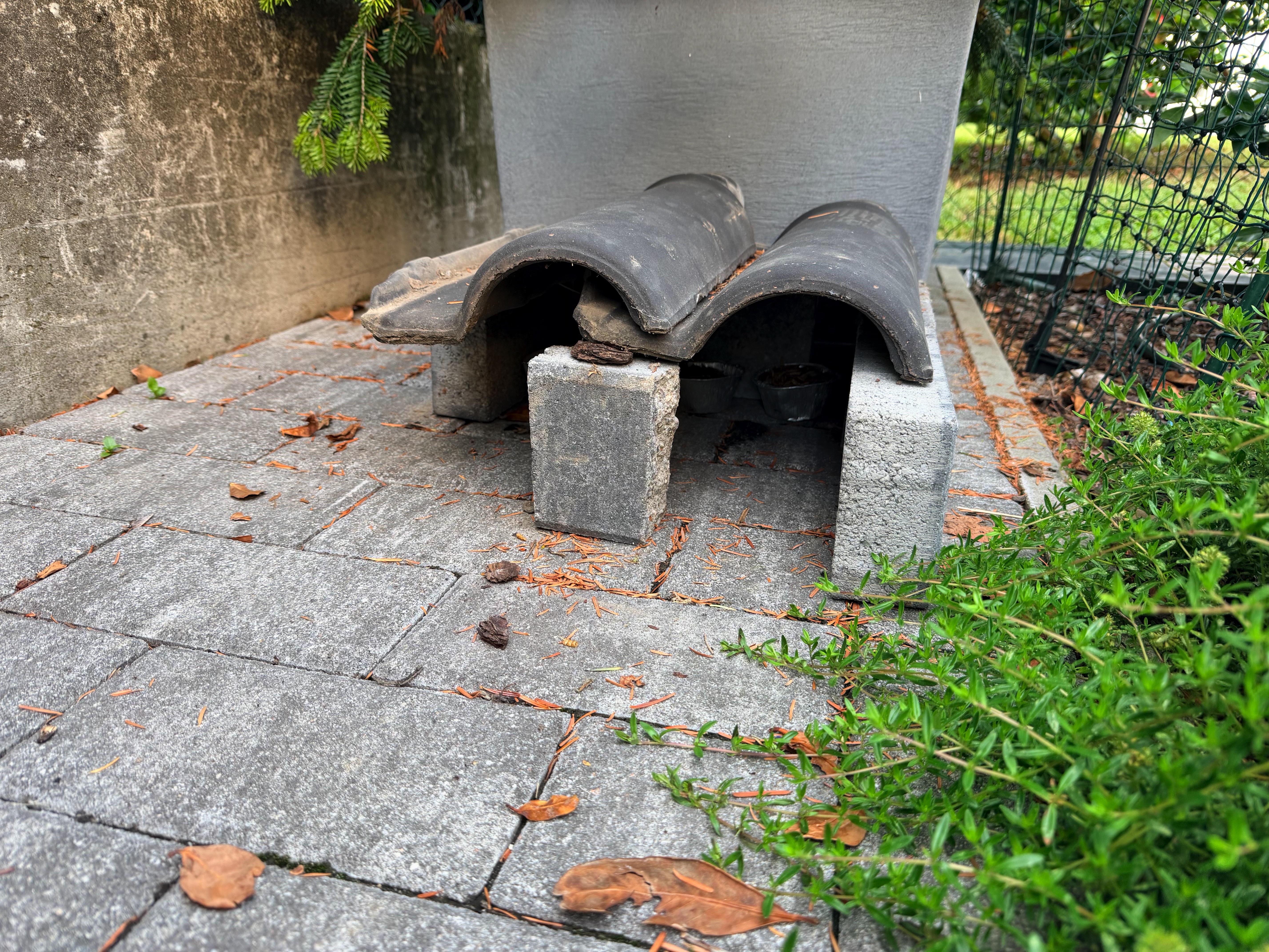 Temporary hedgehog shelter made from paving bricks and two roof tiles, with a water dish beneath